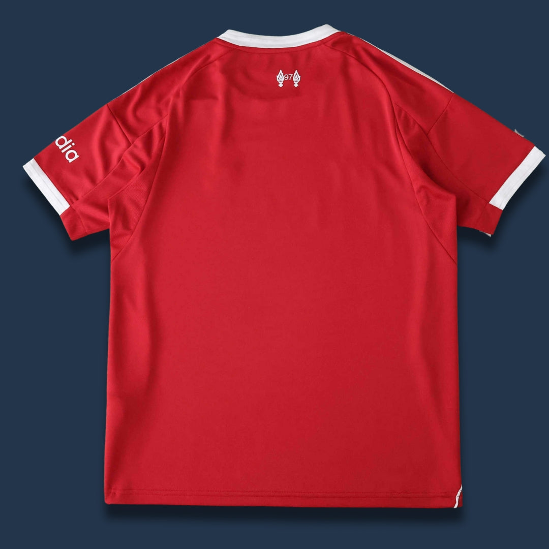 LVP Home 25-26 Fan Version