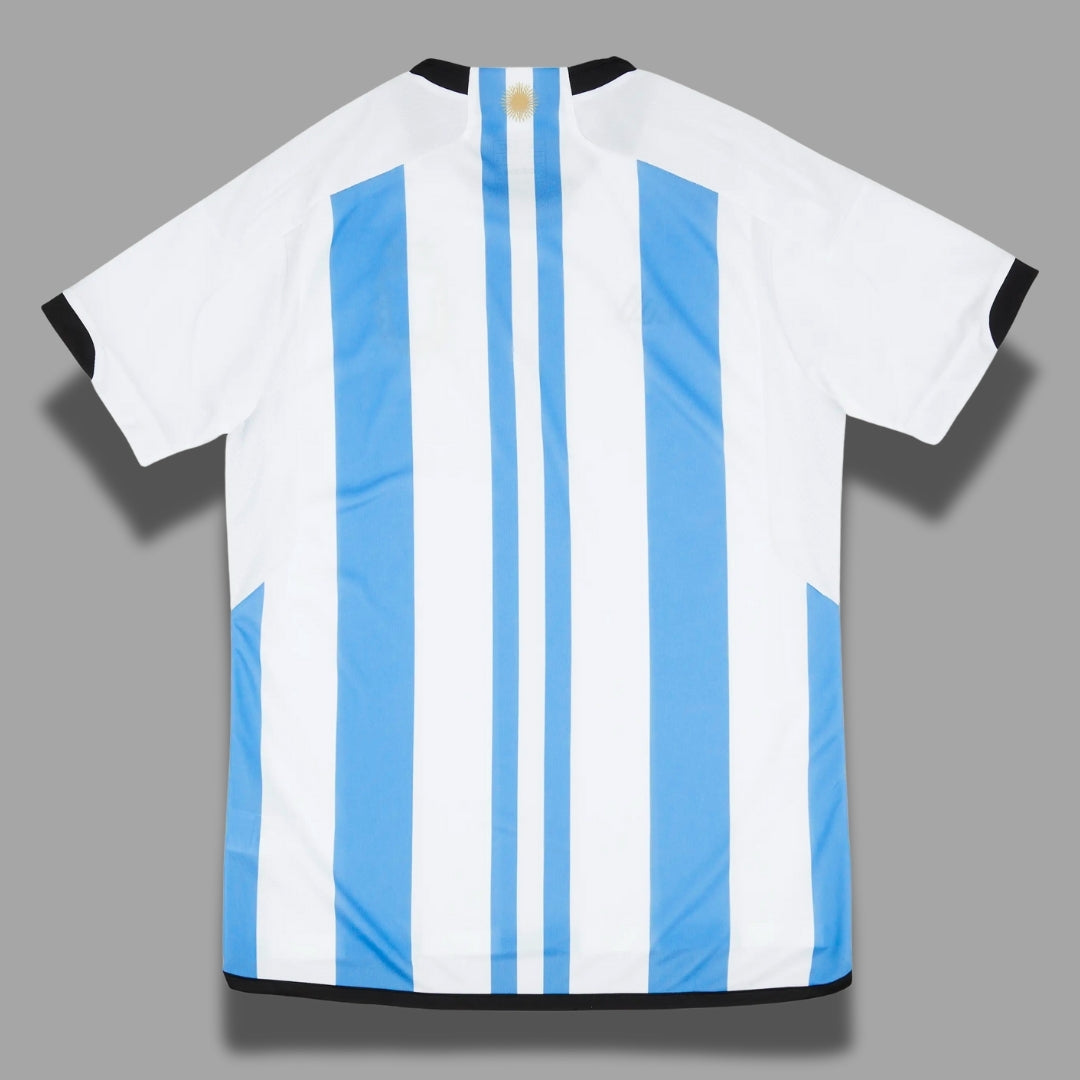 ARG Home WC22 Fans Version